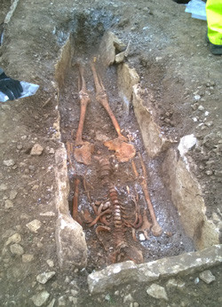 Skeletons found during National Grid's visual impact provision project in Dorset
